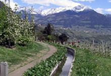 Köstenthalerhof Schenna - Südtirol